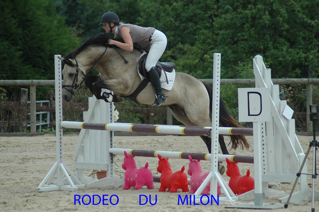 12 MARS 2014 : VENTE DE RODEO DU MILON