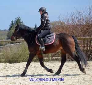 vulcain-trot-4-ans