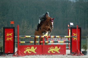 on-line-le-pin-2010-2