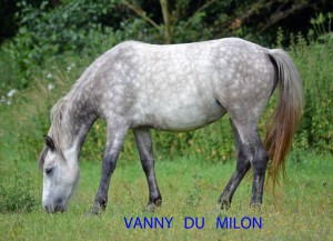 vanny-du-milon-2011