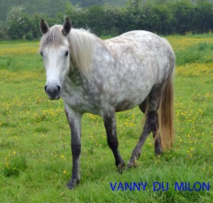 vanny-du-milon-2012