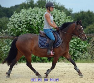 belline-trot