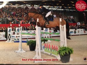 skyrock-salon-du-cheval-201