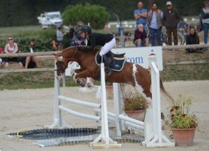 arlequin-sologn-pony-2016-2