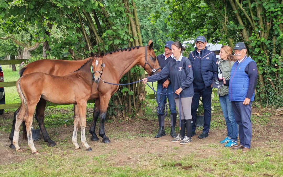 Victoire au concours foals de St Eloi