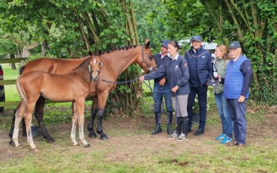 Victoire au concours foals de St Eloi
