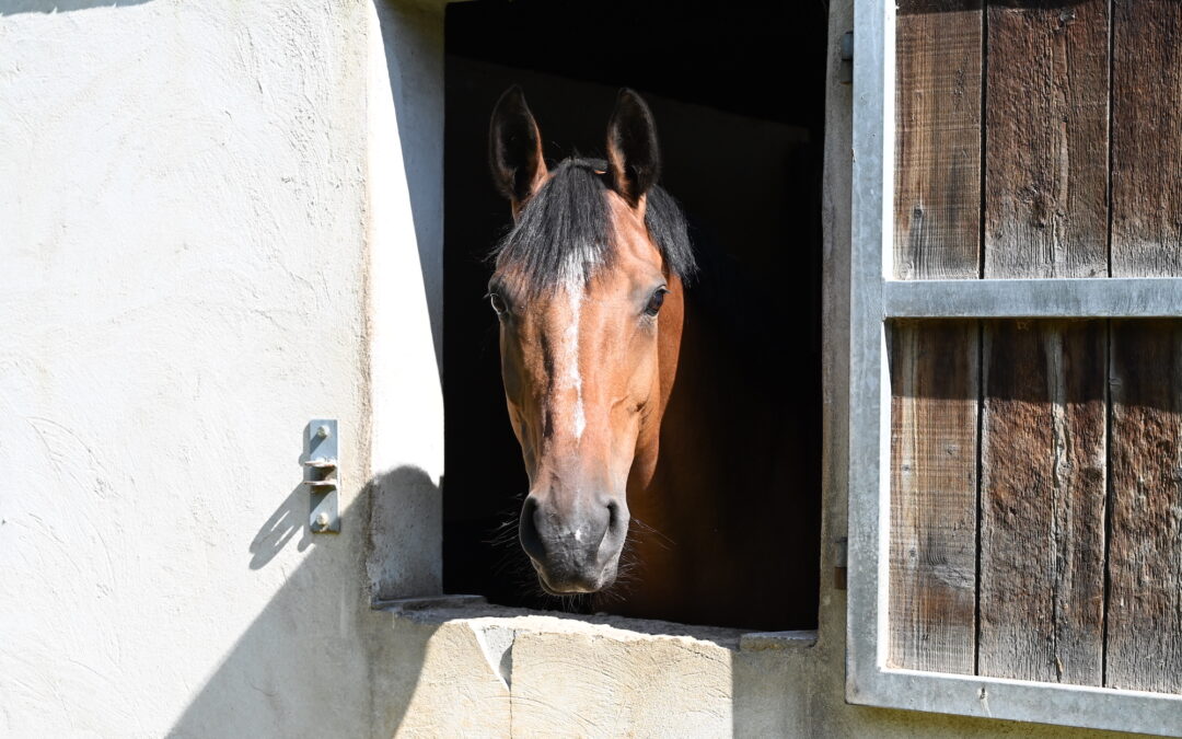 De l’insémination à la valorisation et commercialisation